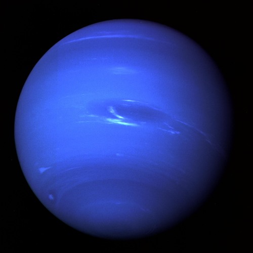 NEPTUNE