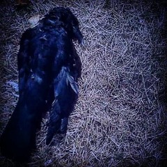 Move On ( Mixed By : LoneRonin )