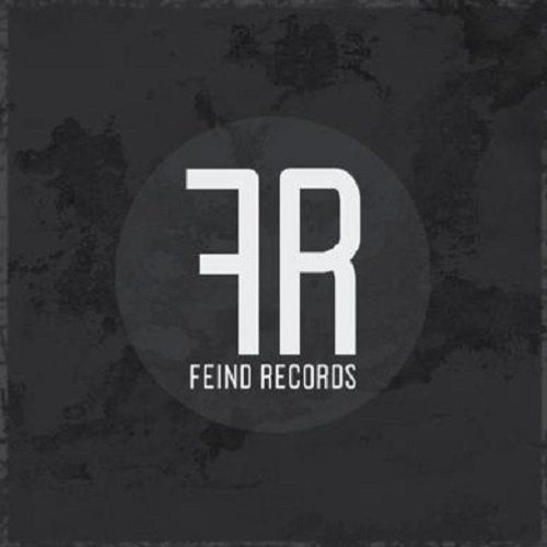 Marcel Paul - Blood & Honor (Jin du Jun Remix)[out now on FEIND]