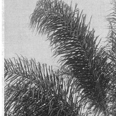 Cub Mud - Fatalism I