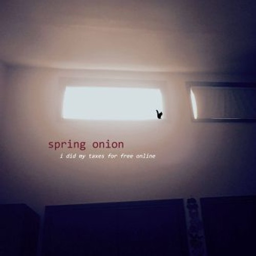 "i did my taxes for free online" - spring onion