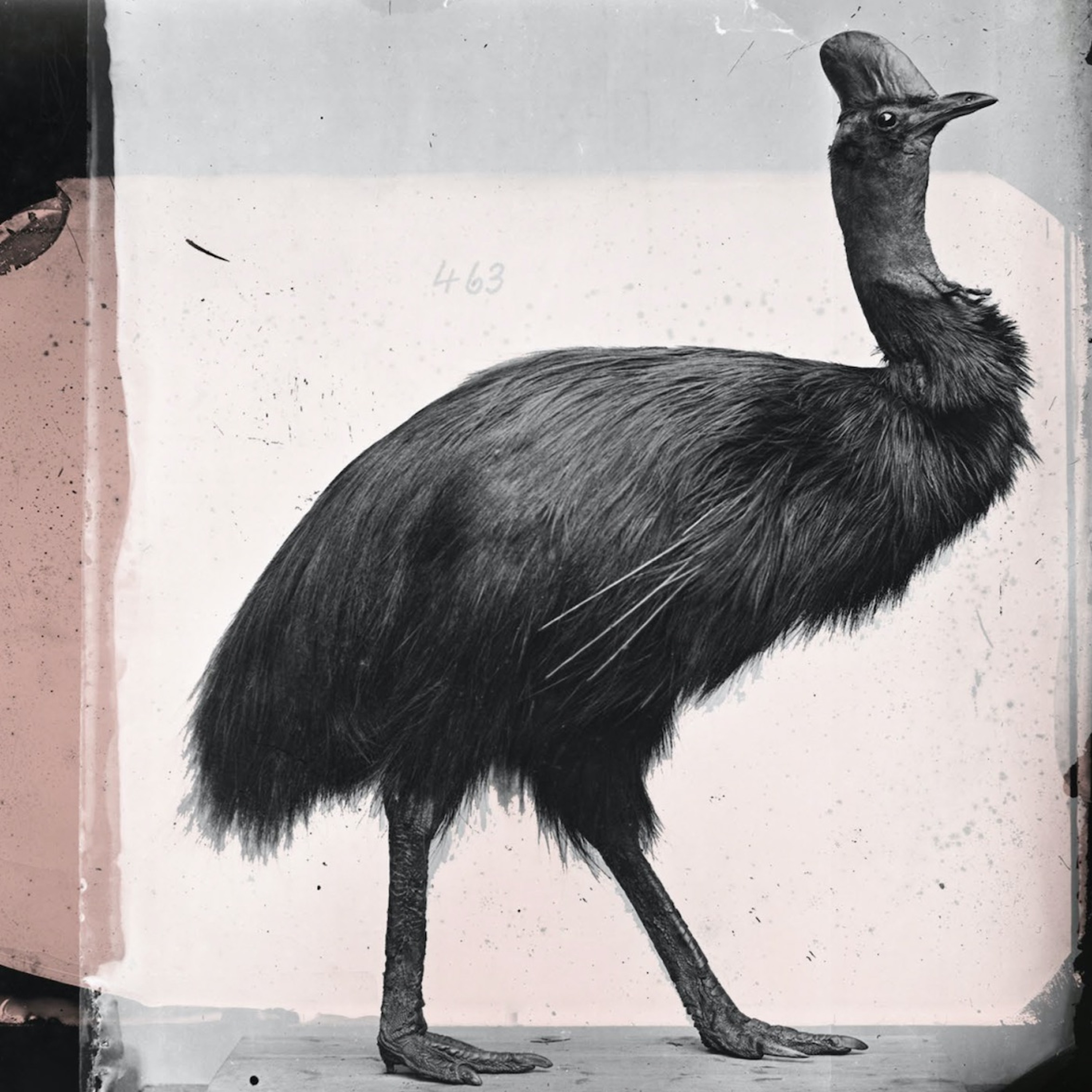 Good Reading Podcast