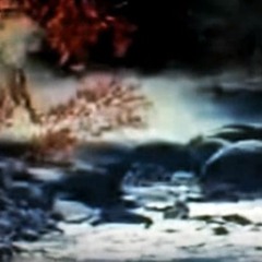 אביא לך אבנים מהכליות