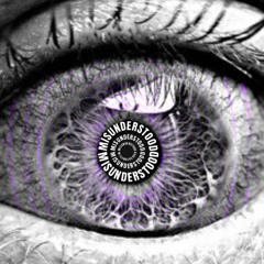 M i s u n d e r s t o o d