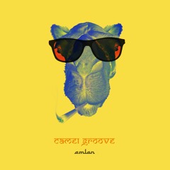 Camel Groove
