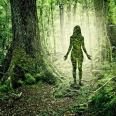 yangucci - Forest Ruler (Prod by LIL G)