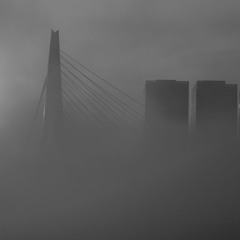 It's foggy in Rotterdam