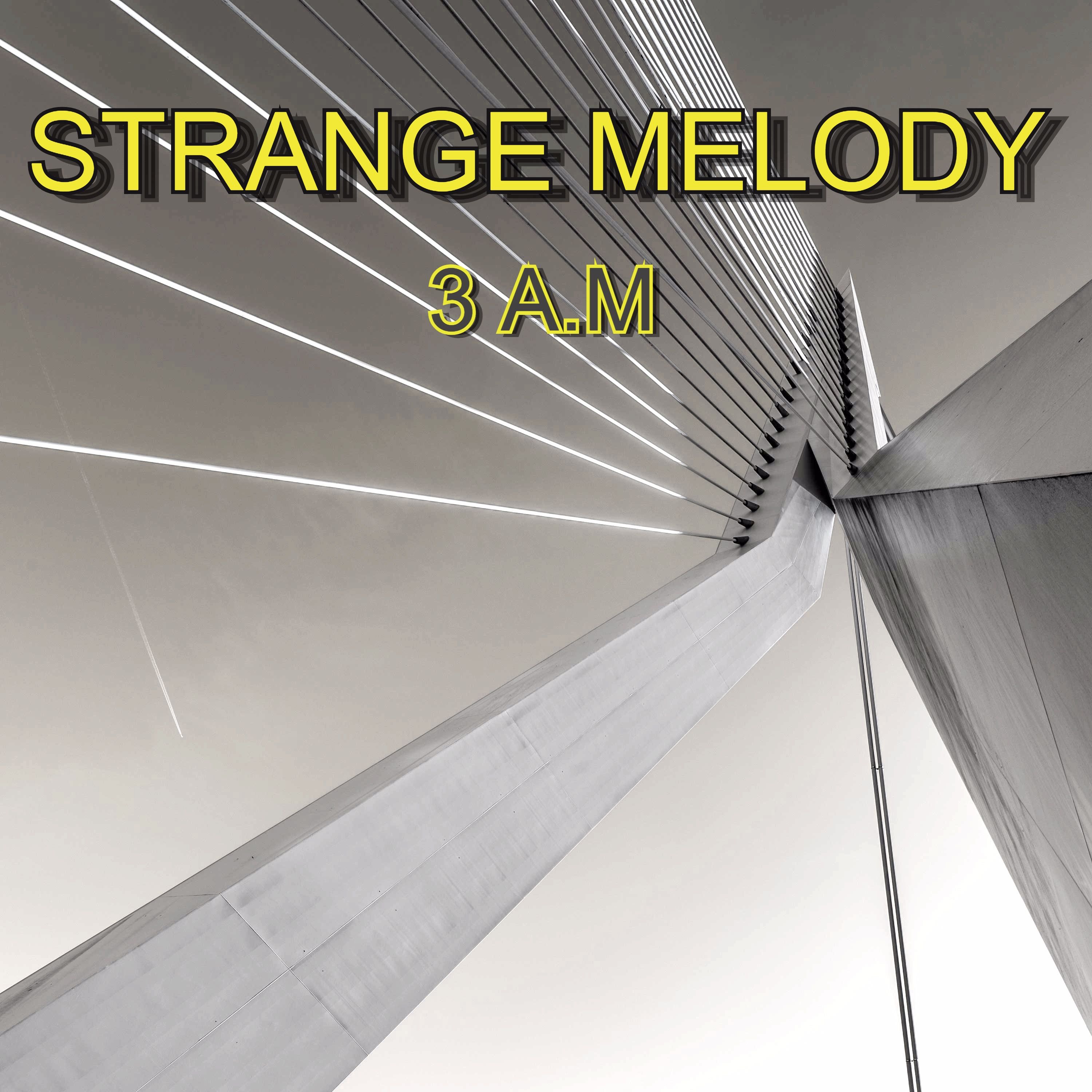 Track cover