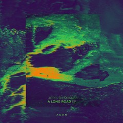 Biesmans - A Long Road