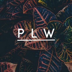 Techno House Mix (P L W)