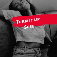 Turn It Up - Sese