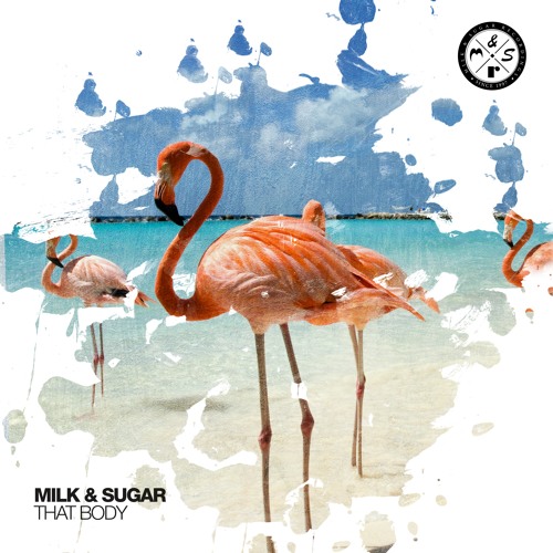 Milk & Sugar - That Body