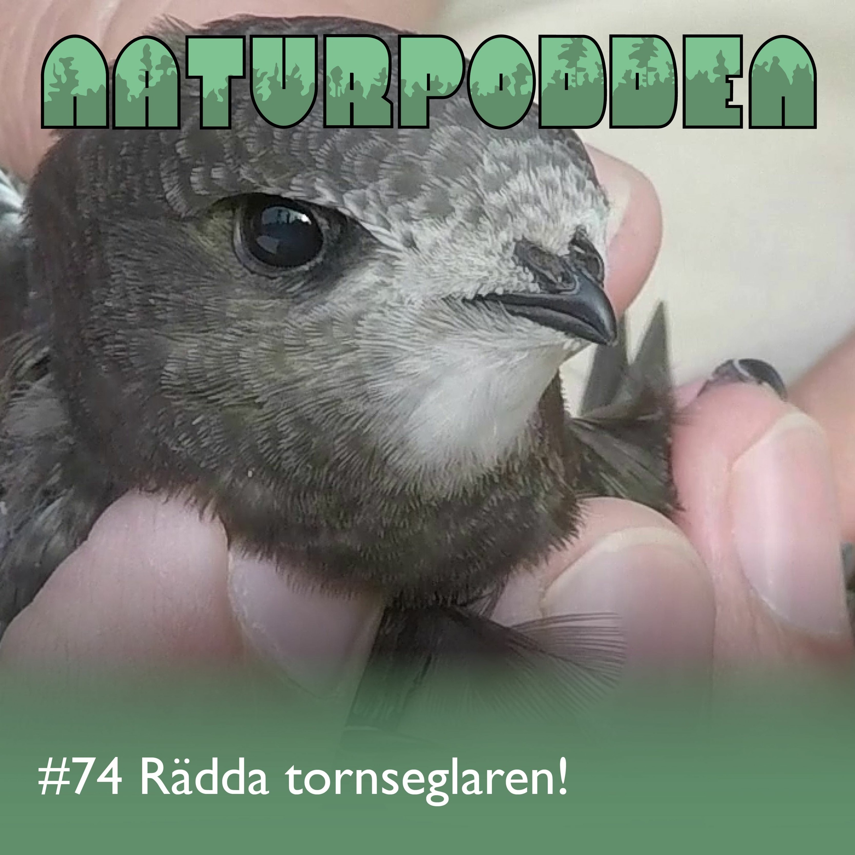 Naturpodden - Producerad av Biotopia