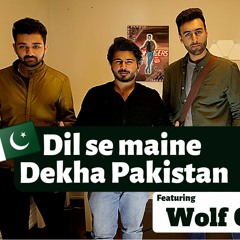Dil se Maine dekha Pakistan (Cover) | Haroon | Malik Taimur