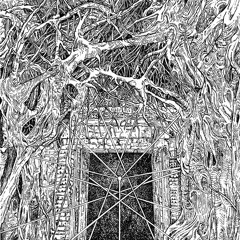 FAREED - A1. Ghostweather