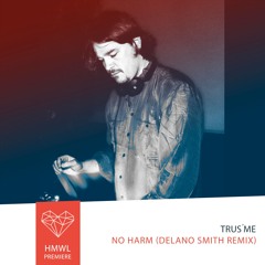 Premiere: Trus´Me - No Harm (Delano Smith remix) [House/Groovement]