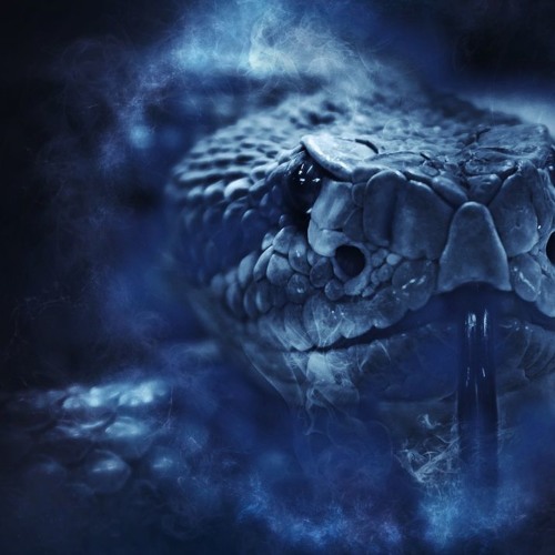 Intoxication of dUb by Venae