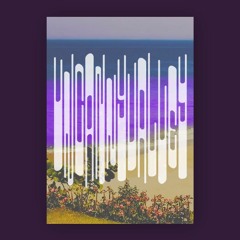 23 02 19 Uncanny Valley Soundsystem - Uncanny Valley Vice Versa