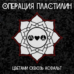 Операция Пластилин - На игле
