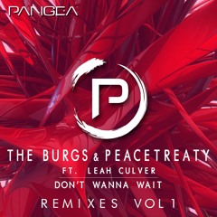 The Burgs & PeaceTreaty - Dont Wanna Wait ft. Leah Culver (Caslow Remix)