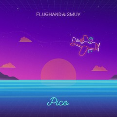 Flughand & Smuv - Pico