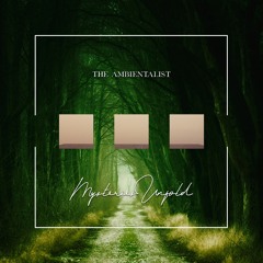 The Ambientalist - Mysteries Unfold