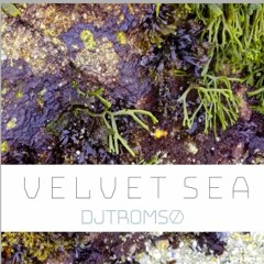 Velvet Sea