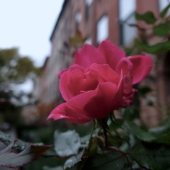 Heart Ache - Instrumental by GurtyBeats