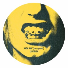 LADYMONIX - KNOW WHAT (sum x y remix)