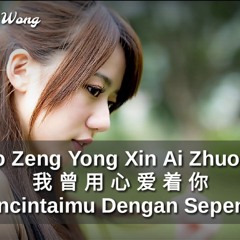 Wo Zeng Yong Xin Ai Zhuo Ni 我曾用心爱着你