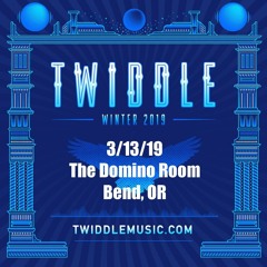Twiddle 3/13/19 Every Soul - The Domino Room Bend OR