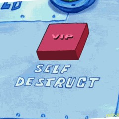 Disrupta x Rayn - Self Destruct VIP (free dl)