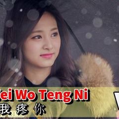 Yin Wei Wo Teng Ni 因為我疼你