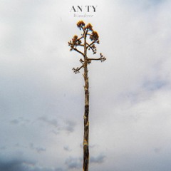 Wanderer (Thanks for 100k plays!)
