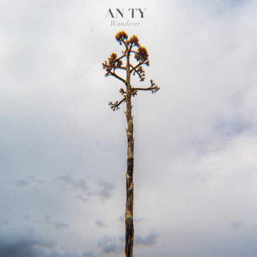 Wanderer (Thanks for 100k plays!)