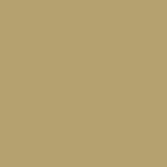 dunes ⎓