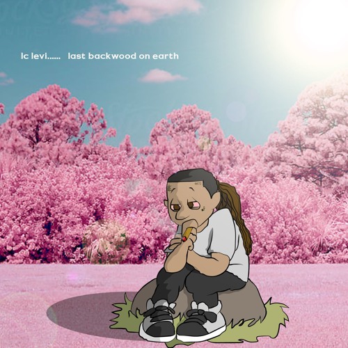 fire flies (ft. dom g sinatra) [prod. guala beatz]