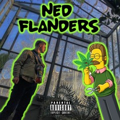 NED FLANDER$