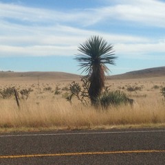 This Is Country Life