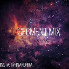Segment Mix