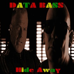 Data Bass - Hide Away (Radio Edit)