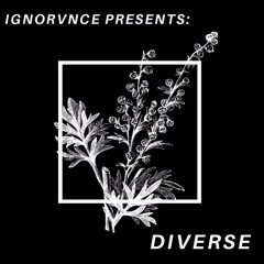 Diverse - The day she came back