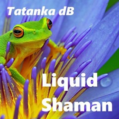 Tatanka dB - Liquid Shaman [preview]