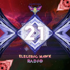 Electric Hawk Radio | Episode 21 | Mr. Dill