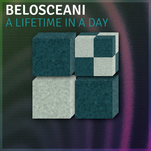 A Lifetime In A Day