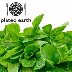 Episode 92 - Food Fable: Mint