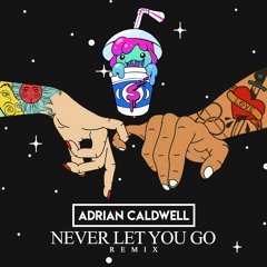 Slushii ft. Sofia Reyes - Never Let You Go (Adrian Caldwell - Remix)