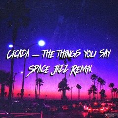 Cicada-the things you say (Space Jazz Remix)