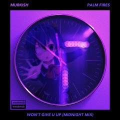 murkish x Palm Fires - Won't Give U Up (midnight mix)