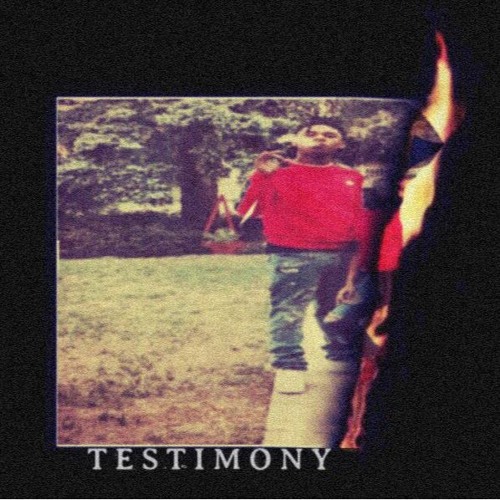 Testimony
